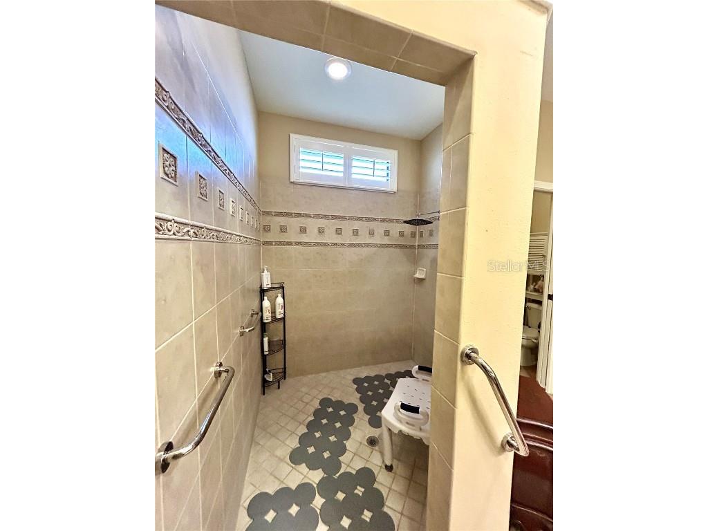 116 Silver Falls Drive Apollo Beach FL 33572 TB8349113 image16