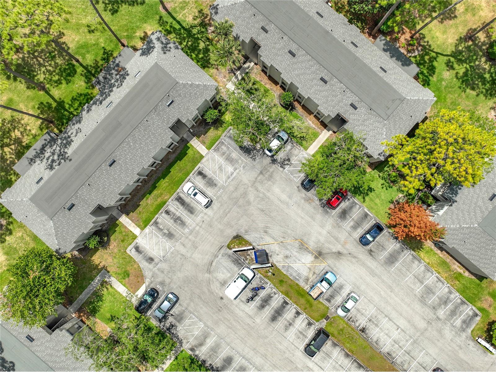 116 Springwood Circle #D Longwood FL 32750 O6403702 image56