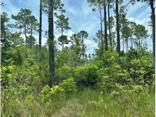 116 SW 1st Avenue Palatka FL 32177 G5104428 image1