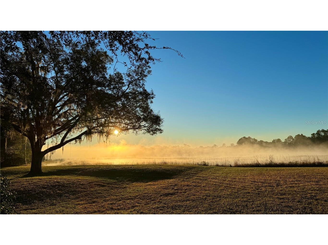 116 Tropicana Drive Indian Lake Estates FL 33855 - LAKE WALK-IN-WATER TB8314419 image28