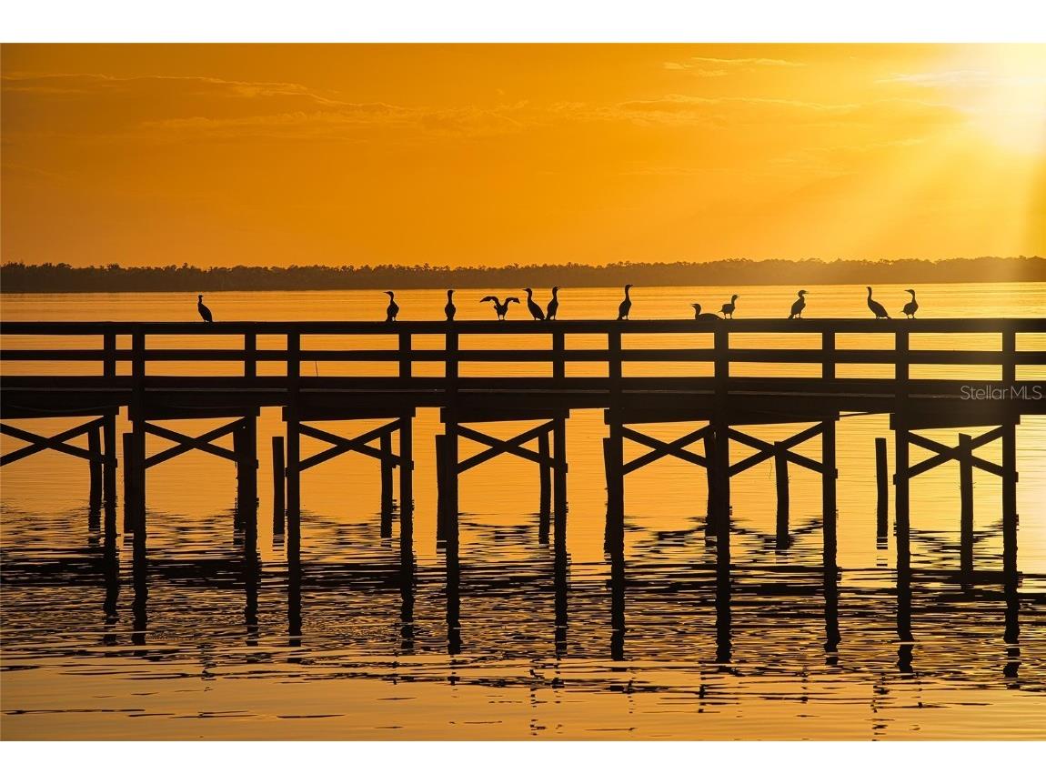 116 Tropicana Drive Indian Lake Estates FL 33855 - LAKE WALK-IN-WATER TB8314419 image30