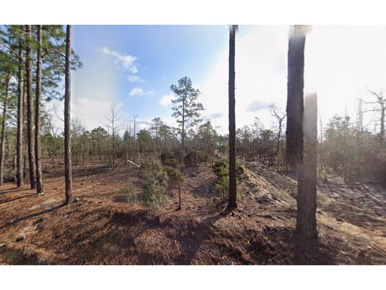 116 Tulip Avenue Interlachen FL 32148 OK225736 image1