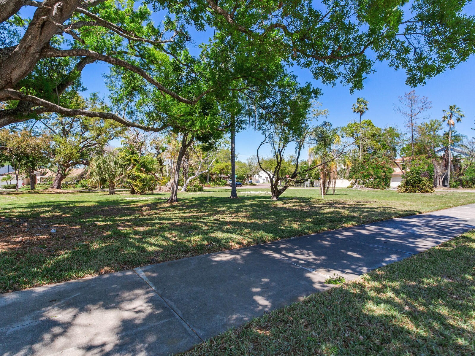 116 W Davis Boulevard Tampa FL 33606 TB8476989 image13