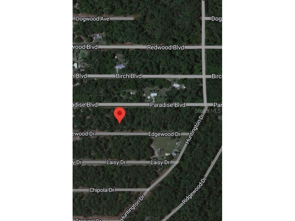 116 W Edgewood Drive Georgetown FL 32139 OM672468 image1