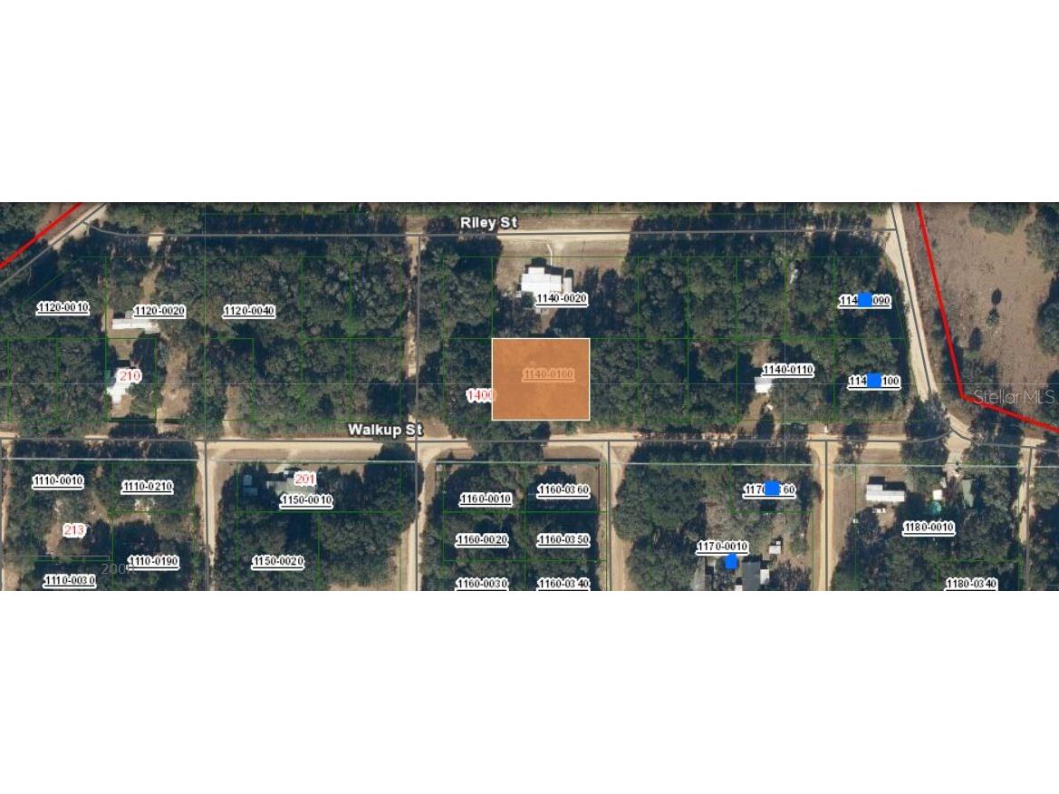 116 Walkup Street Interlachen FL 32148 O6293454 image1