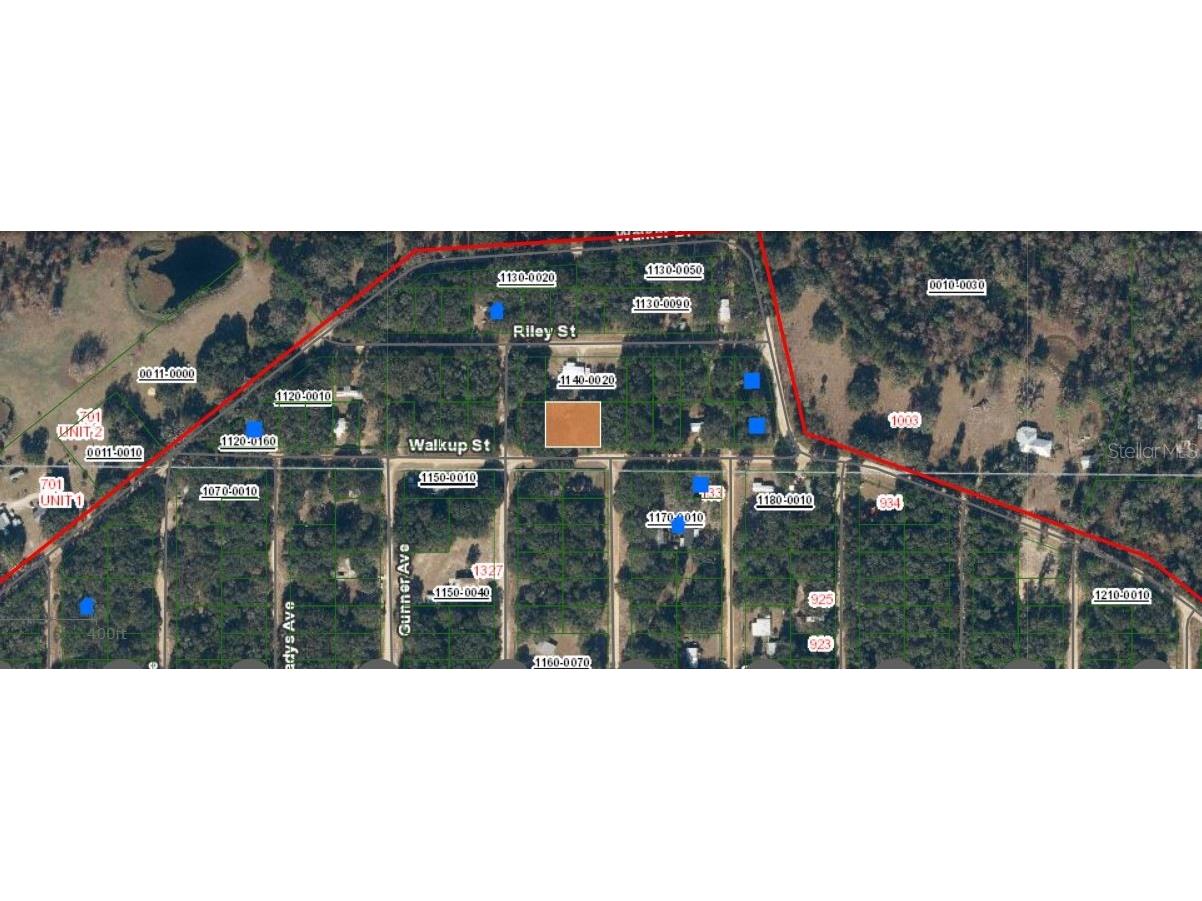 116 Walkup Street Interlachen FL 32148 O6293454 image2