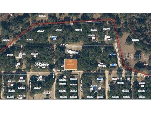 116 Walkup Street Interlachen FL 32148 O6293454 image4