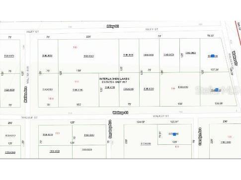 116 Walkup Street Interlachen FL 32148 O6293454 image5