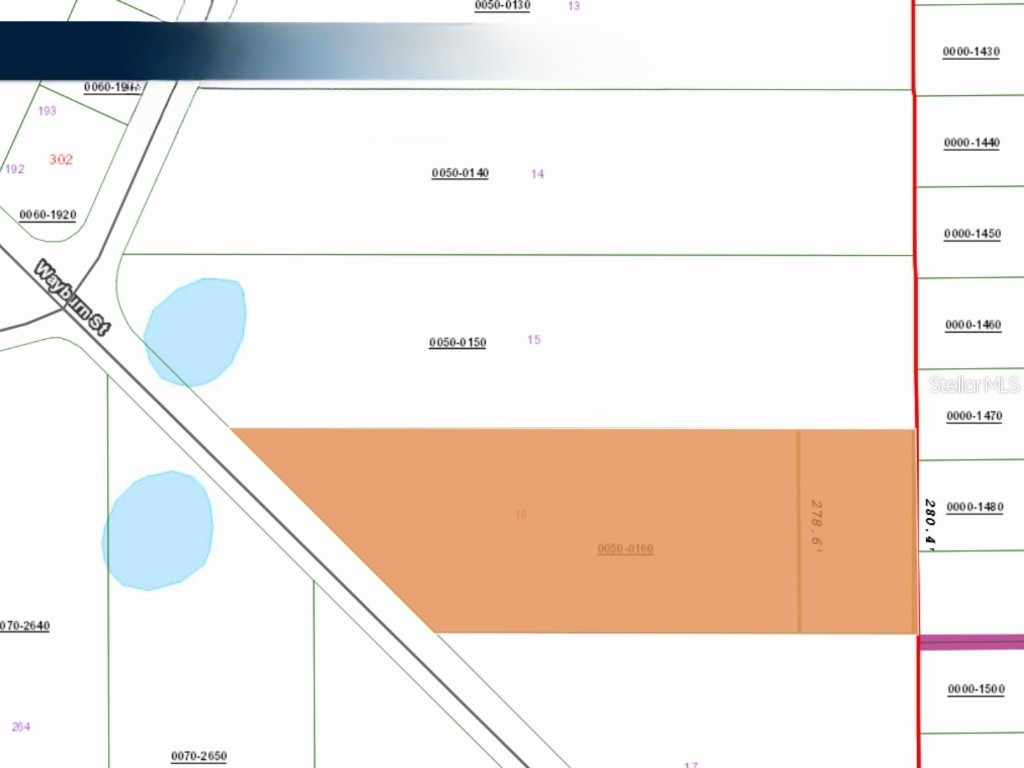 116 Wayburn Street Georgetown FL 32139 OM706969 image1