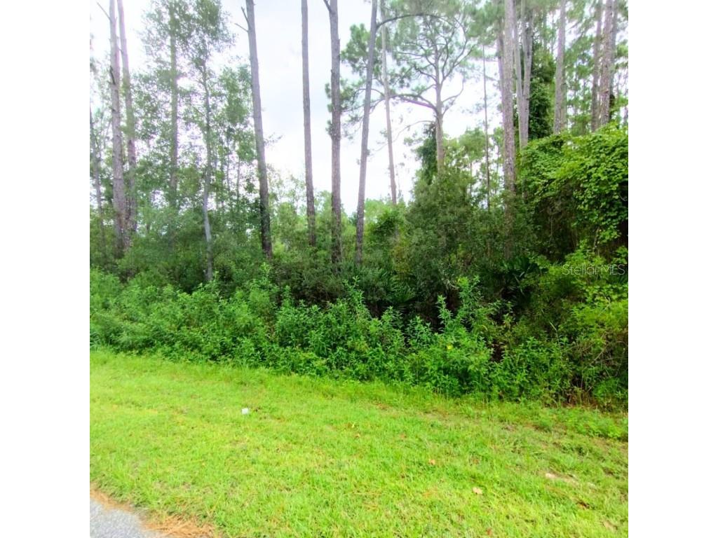 116 Wayburn Street Georgetown FL 32139 OM706969 image3