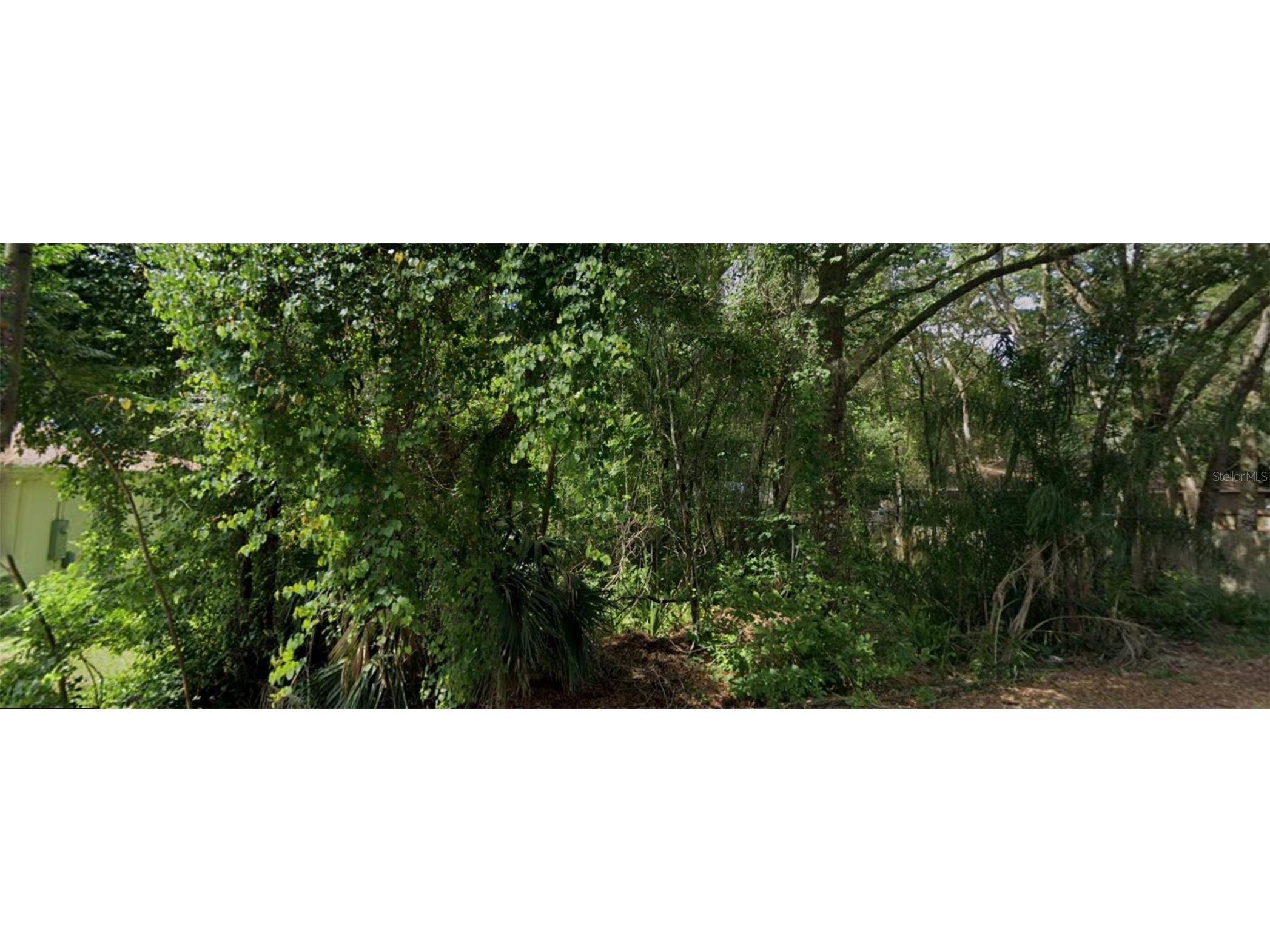 1160 19th Street Orange City FL 32763 V4942515 image4