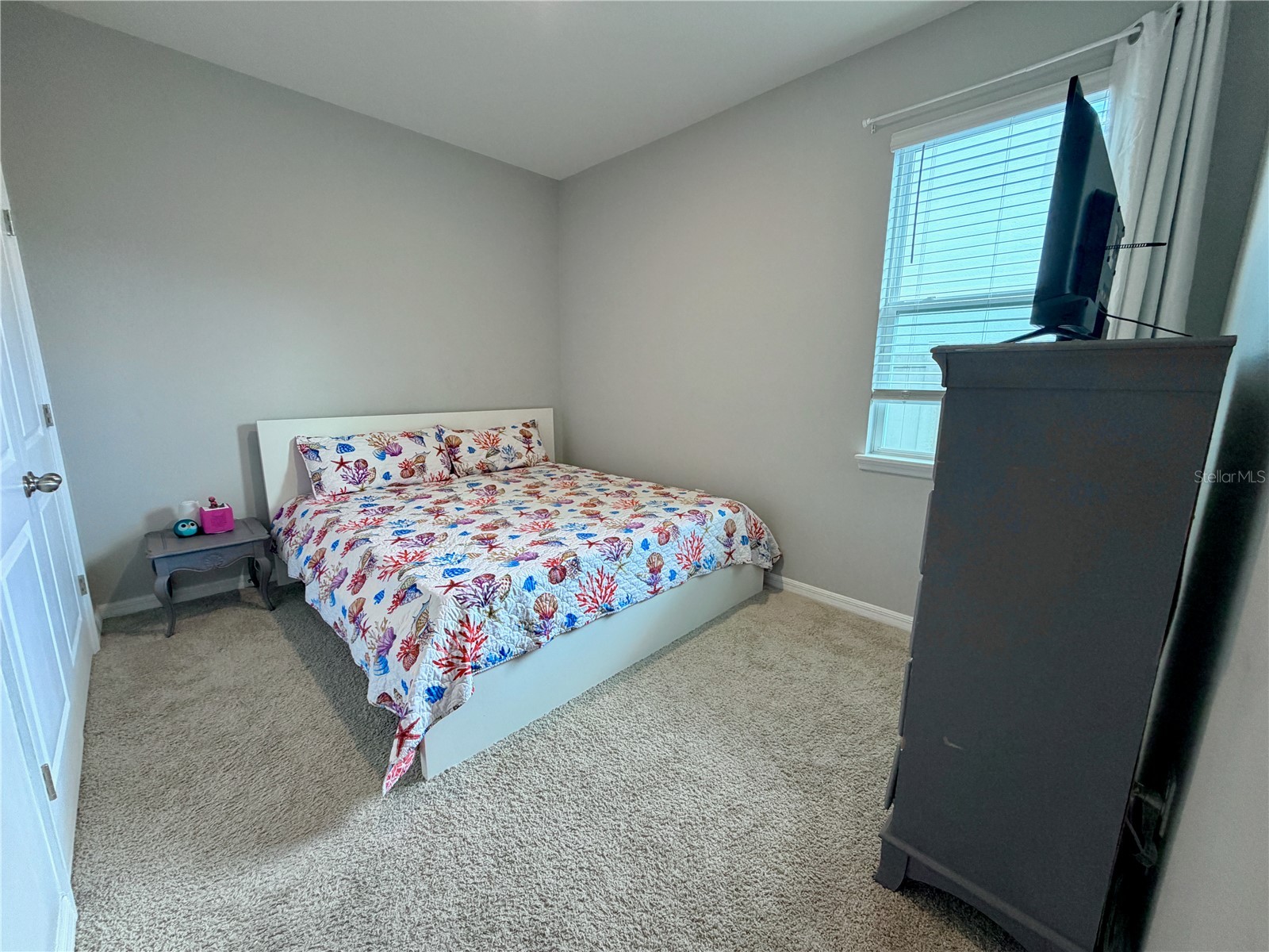 1160 Bering Road Wesley Chapel FL 33543 O6396095 image18