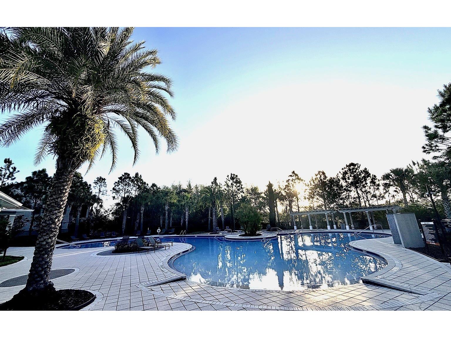 1160 Bering Road Wesley Chapel FL 33543 O6396095 image31