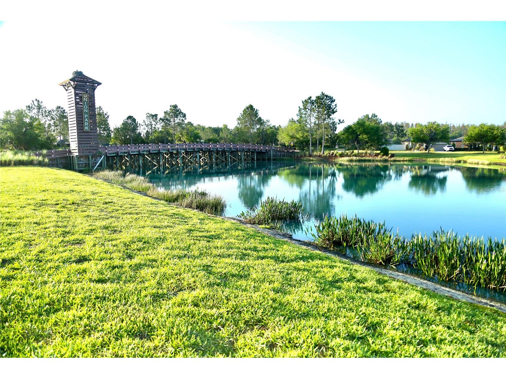 1160 Bering Road Wesley Chapel FL 33543 O6396095 image32