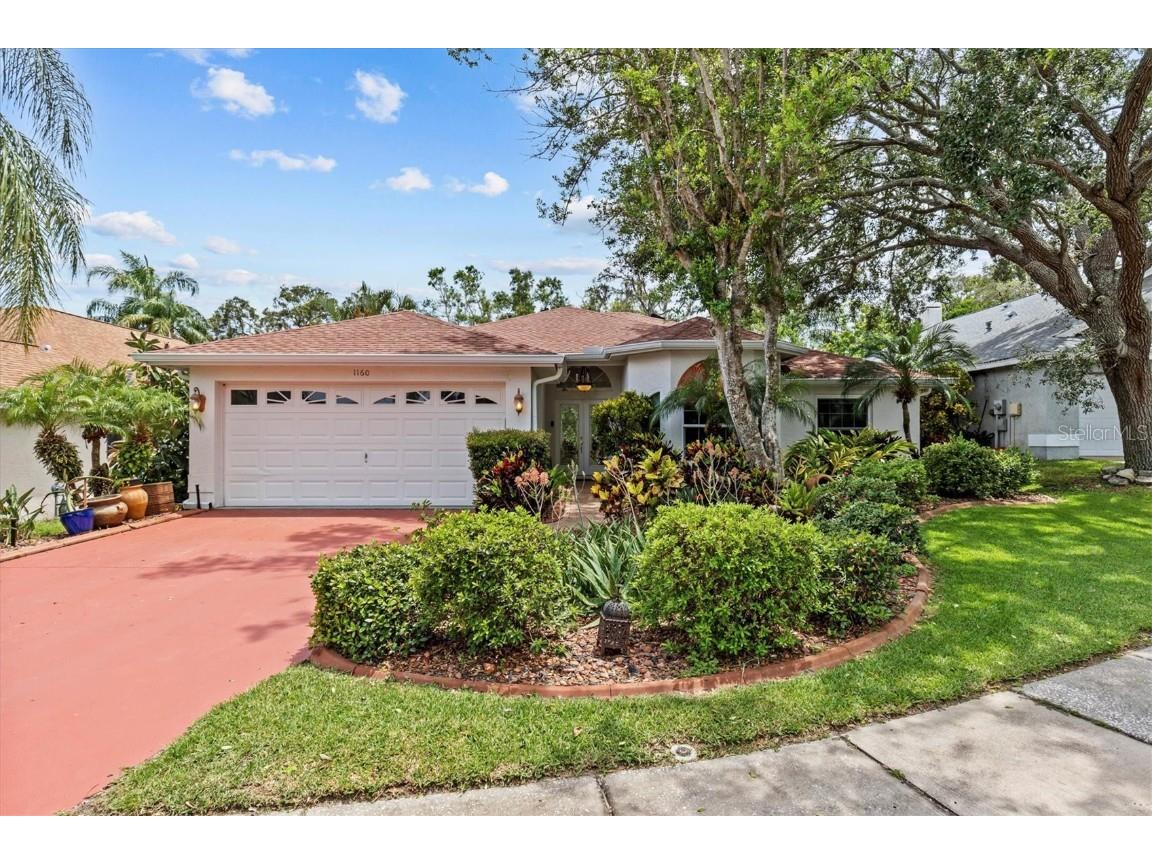 1160 Clippers Way Tarpon Springs FL 34689 TB8405410 image1
