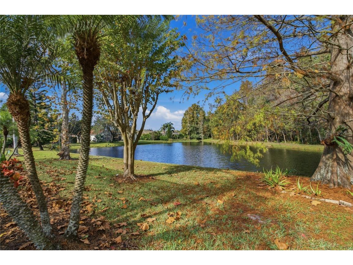 1160 Lindenwood Drive Tarpon Springs FL 34688 W7881074 image31