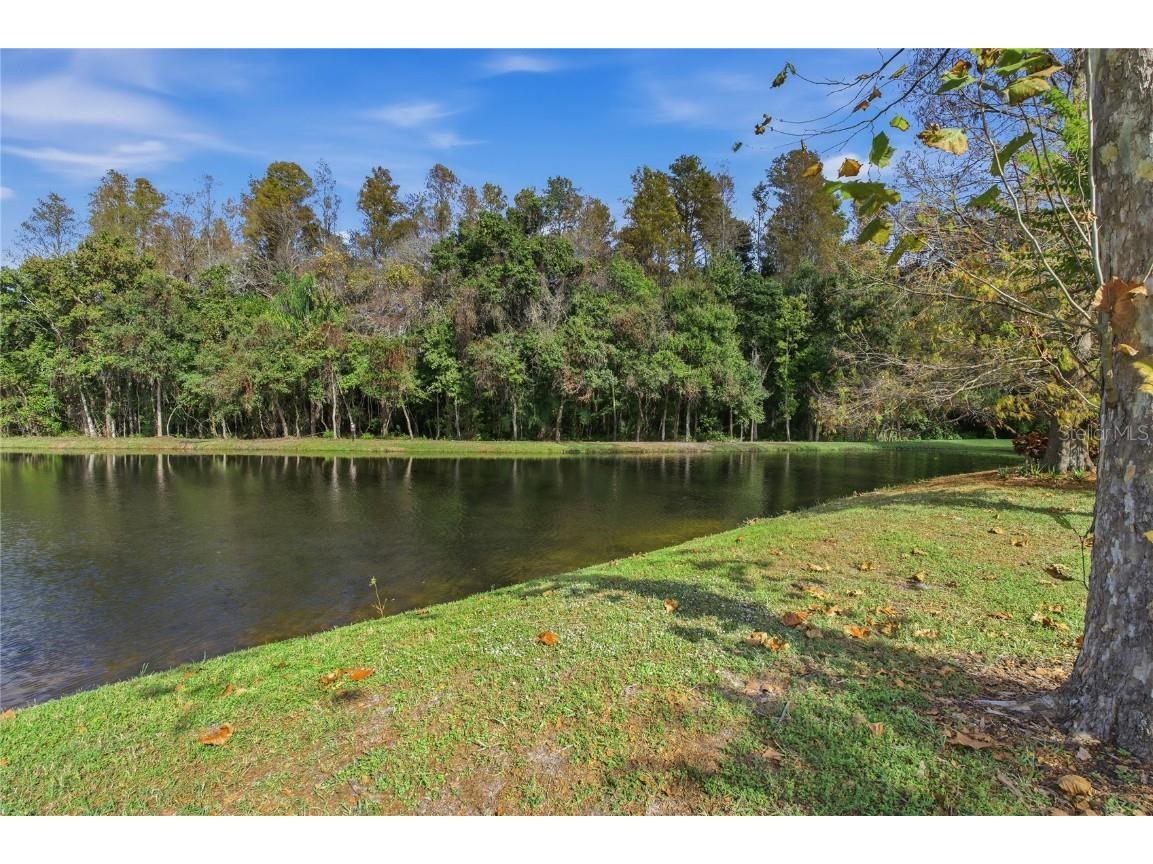 1160 Lindenwood Drive Tarpon Springs FL 34688 W7881074 image32