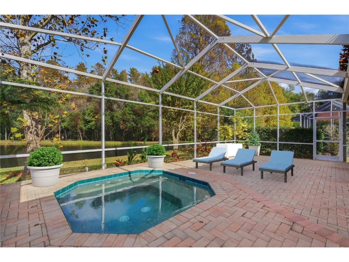 1160 Lindenwood Drive Tarpon Springs FL 34688 W7881074 image35