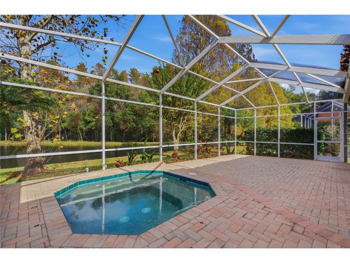 1160 Lindenwood Drive Tarpon Springs FL 34688 W7881074 image36