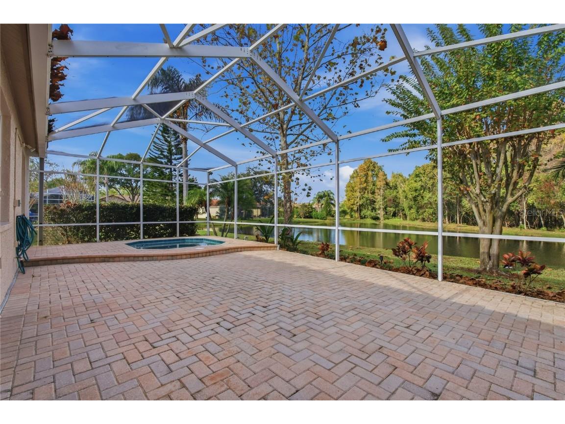 1160 Lindenwood Drive Tarpon Springs FL 34688 W7881074 image37