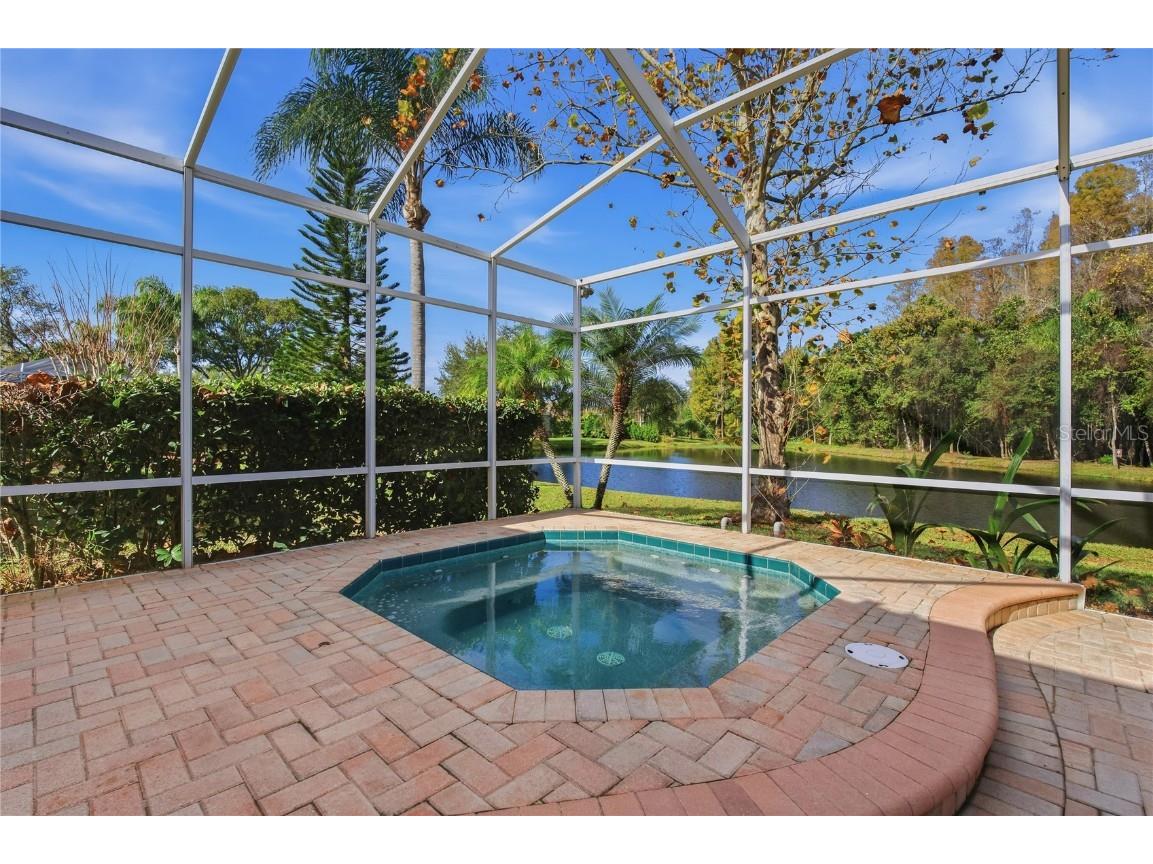 1160 Lindenwood Drive Tarpon Springs FL 34688 W7881074 image38