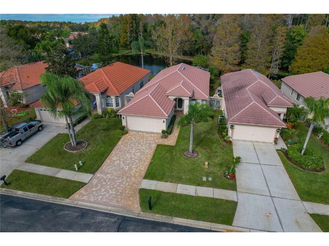 1160 Lindenwood Drive Tarpon Springs FL 34688 W7881074 image39