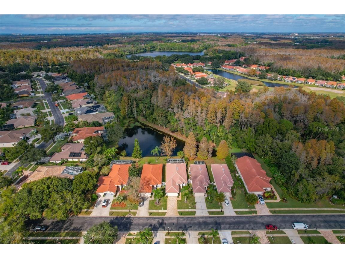 1160 Lindenwood Drive Tarpon Springs FL 34688 W7881074 image41