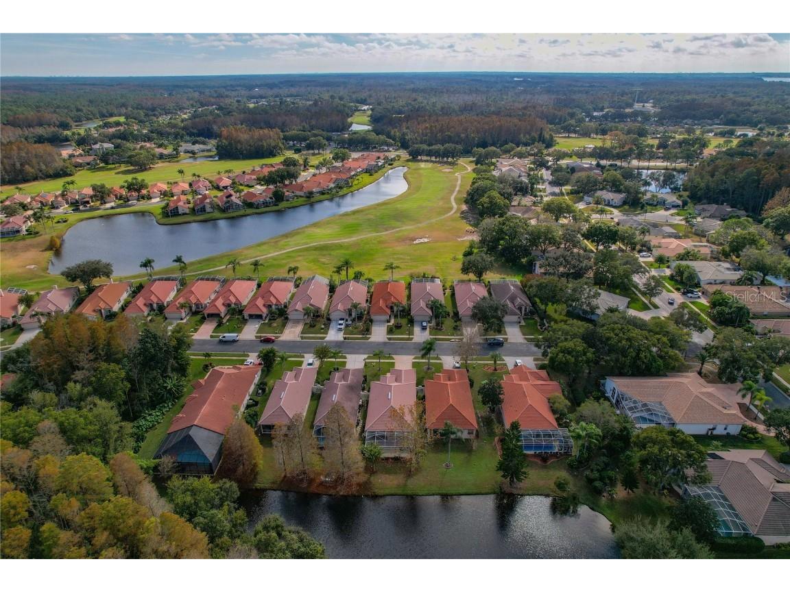 1160 Lindenwood Drive Tarpon Springs FL 34688 W7881074 image42