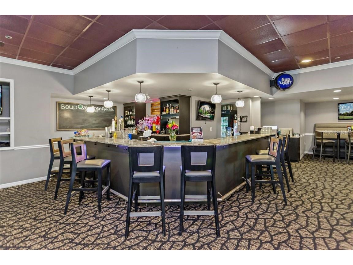 1160 Lindenwood Drive Tarpon Springs FL 34688 W7881074 image49