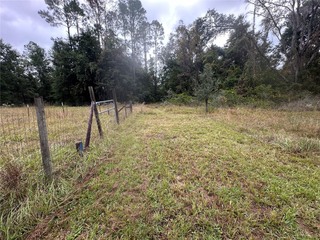 1160 SW Dyal Avenue Lake City FL 32024 OM712529 image3