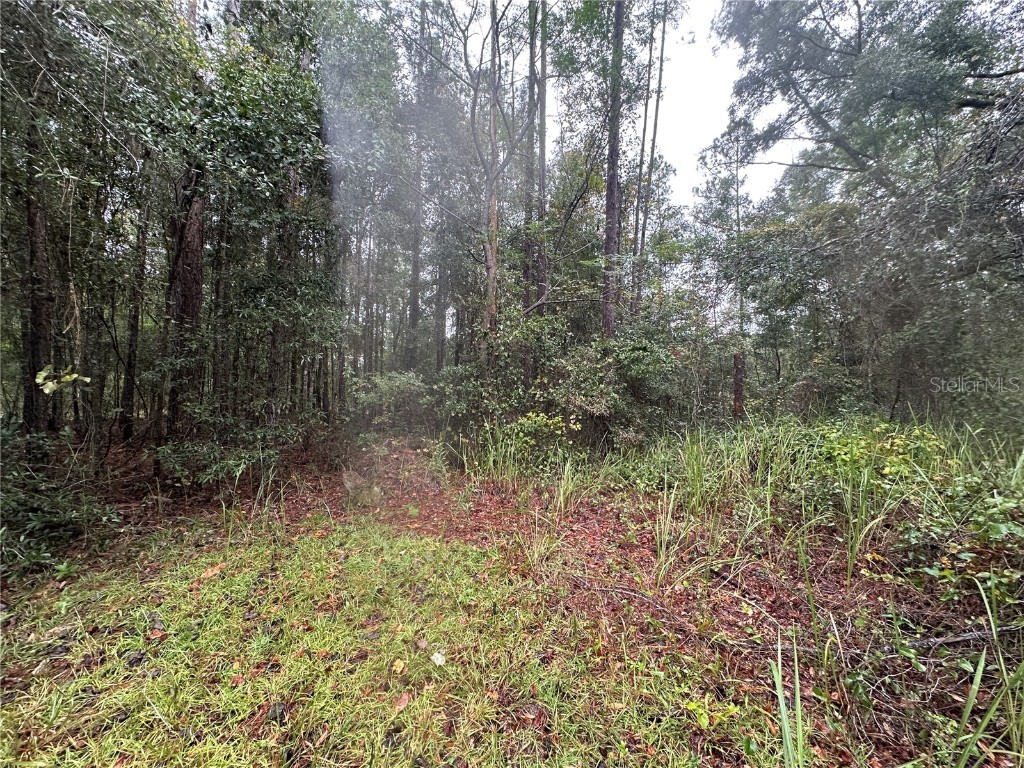 1160 SW Dyal Avenue Lake City FL 32024 OM712529 image48