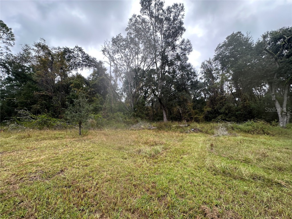 1160 SW Dyal Avenue Lake City FL 32024 OM712529 image52