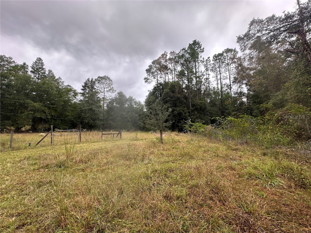 1160 SW Dyal Avenue Lake City FL 32024 OM712529 image53