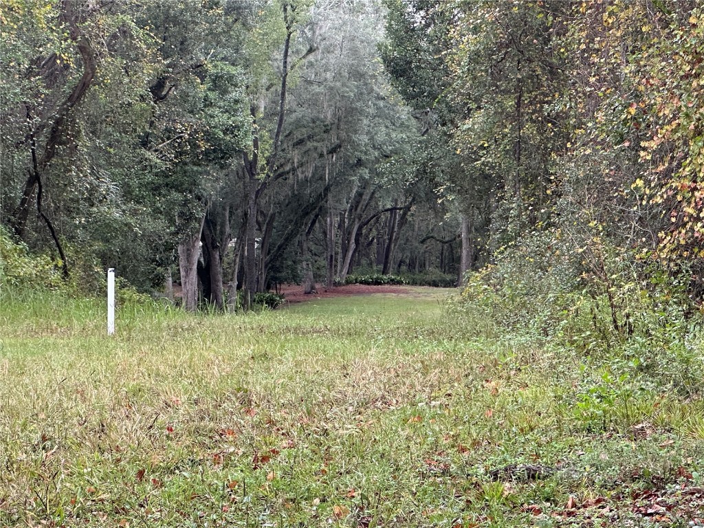 1160 SW Dyal Avenue Lake City FL 32024 OM712529 image65