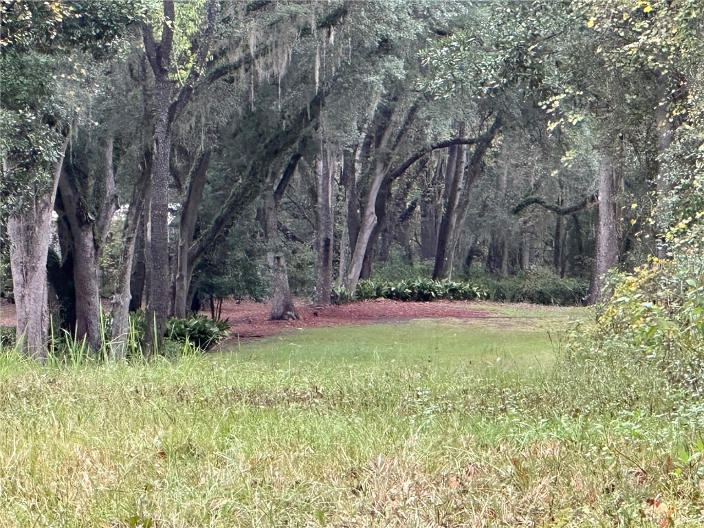 1160 SW Dyal Avenue Lake City FL 32024 OM712529 image66