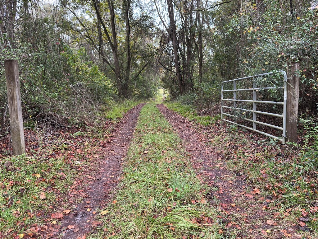 1160 SW Dyal Avenue Lake City FL 32024 OM712529 image67