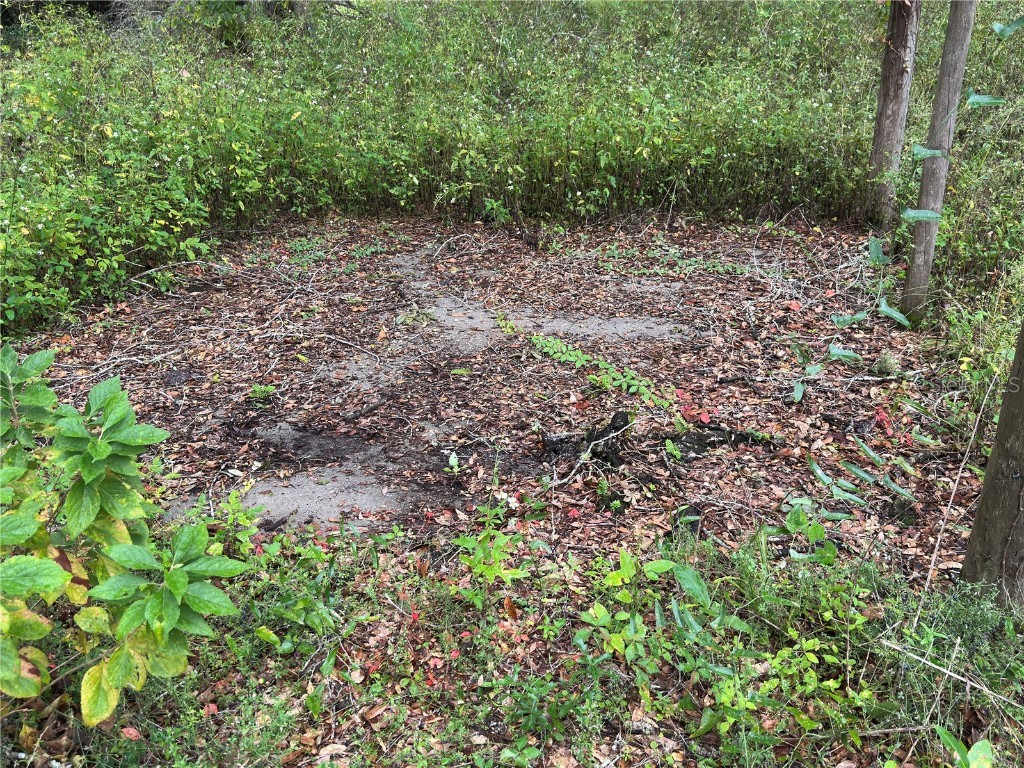 1160 SW Dyal Avenue Lake City FL 32024 OM712529 image72