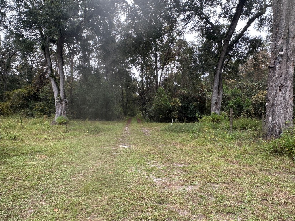 1160 SW Dyal Avenue Lake City FL 32024 OM712529 image73