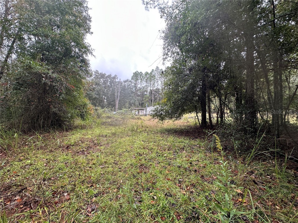 1160 SW Dyal Avenue Lake City FL 32024 OM712529 image76