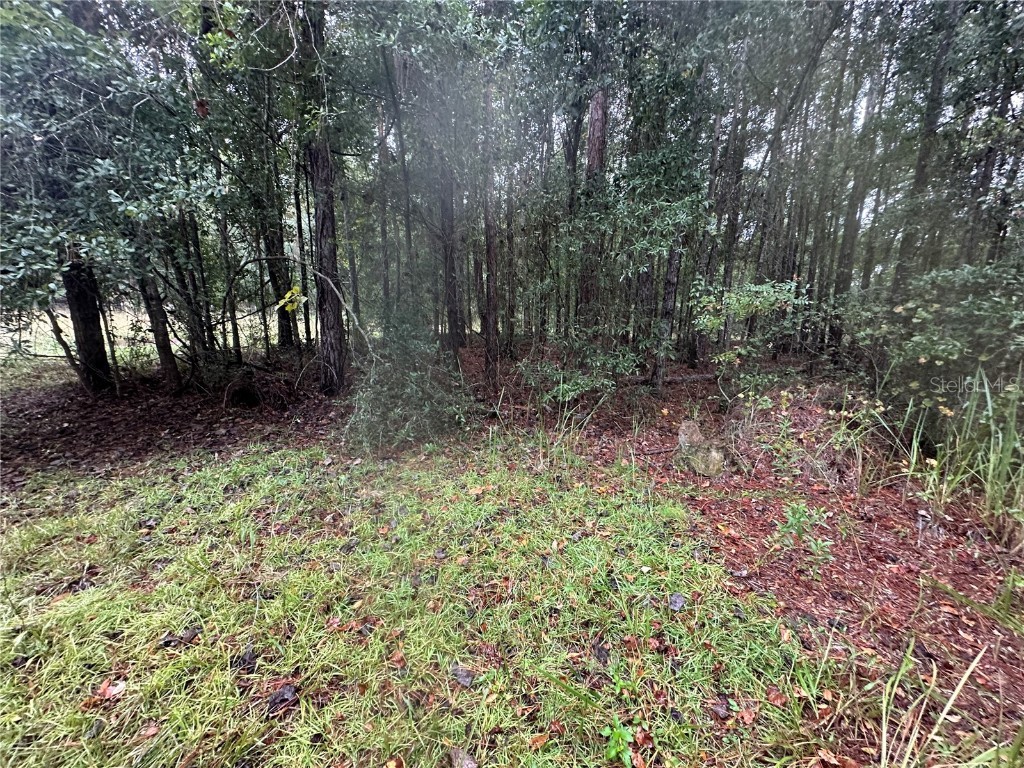 1160 SW Dyal Avenue Lake City FL 32024 OM712529 image77