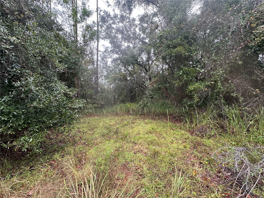 1160 SW Dyal Avenue Lake City FL 32024 OM712529 image78