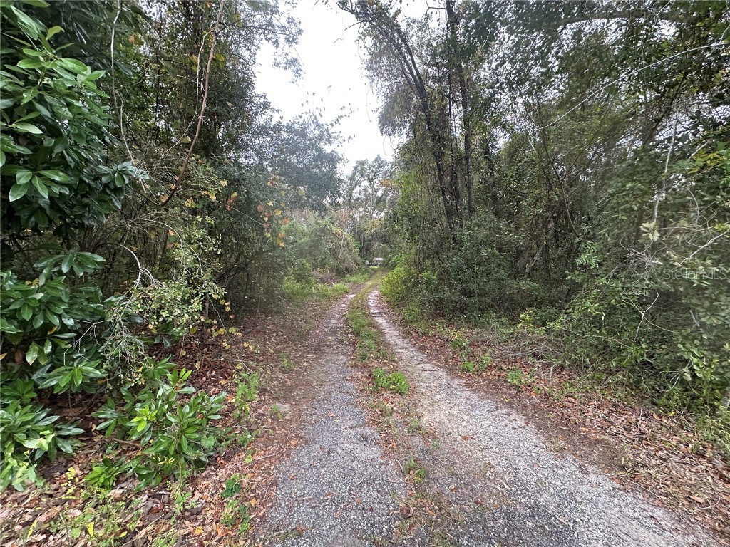 1160 SW Dyal Avenue Lake City FL 32024 OM712529 image79