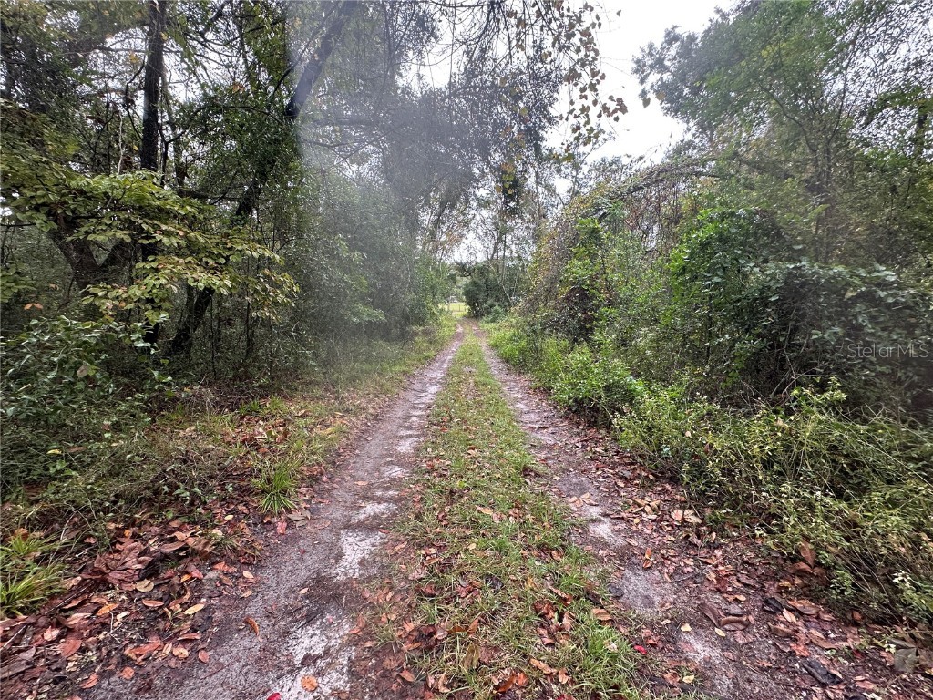 1160 SW Dyal Avenue Lake City FL 32024 OM712529 image82