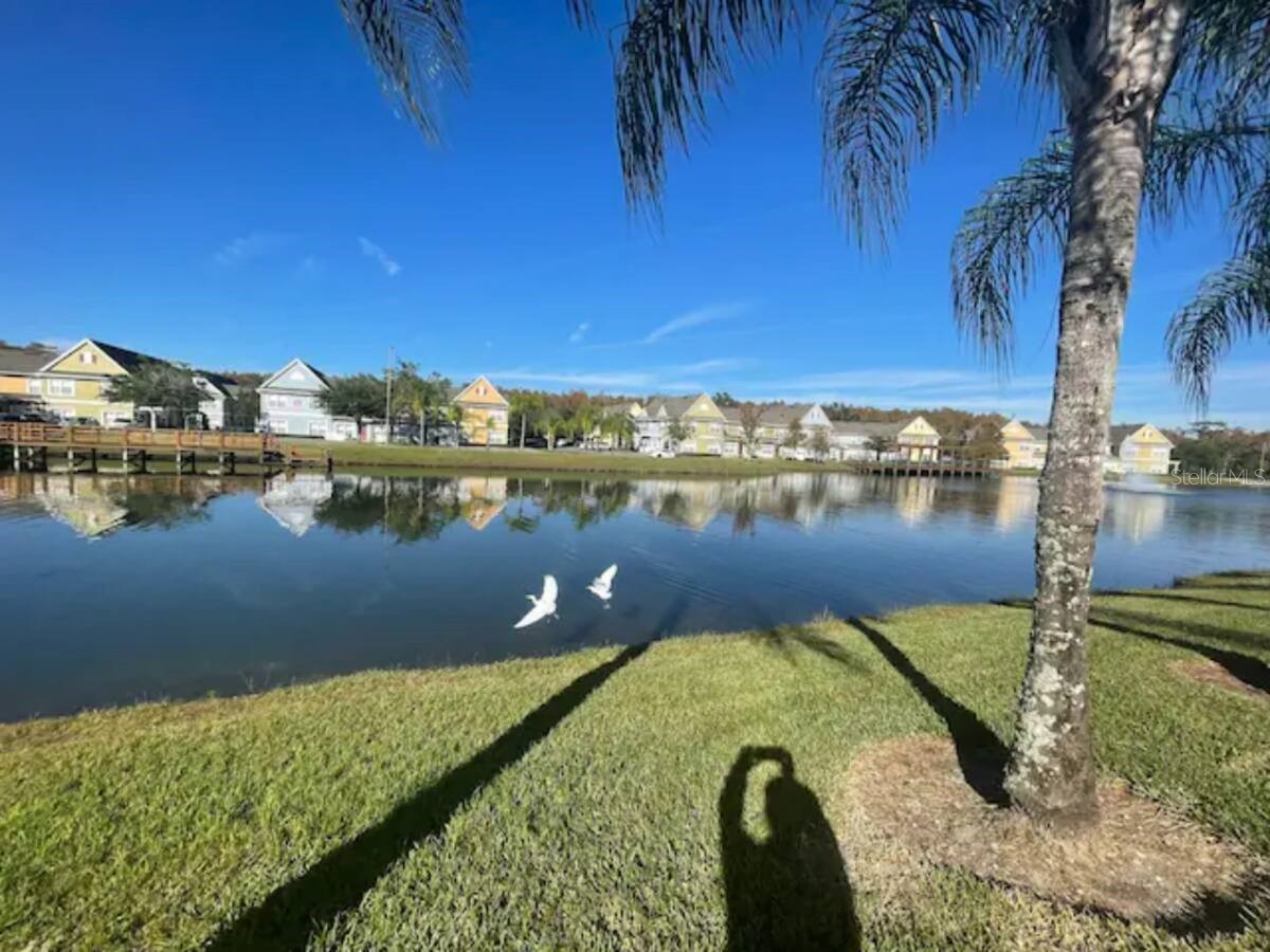 1160 Villa Lane #108 Apopka FL 32712 TB8510314 image22