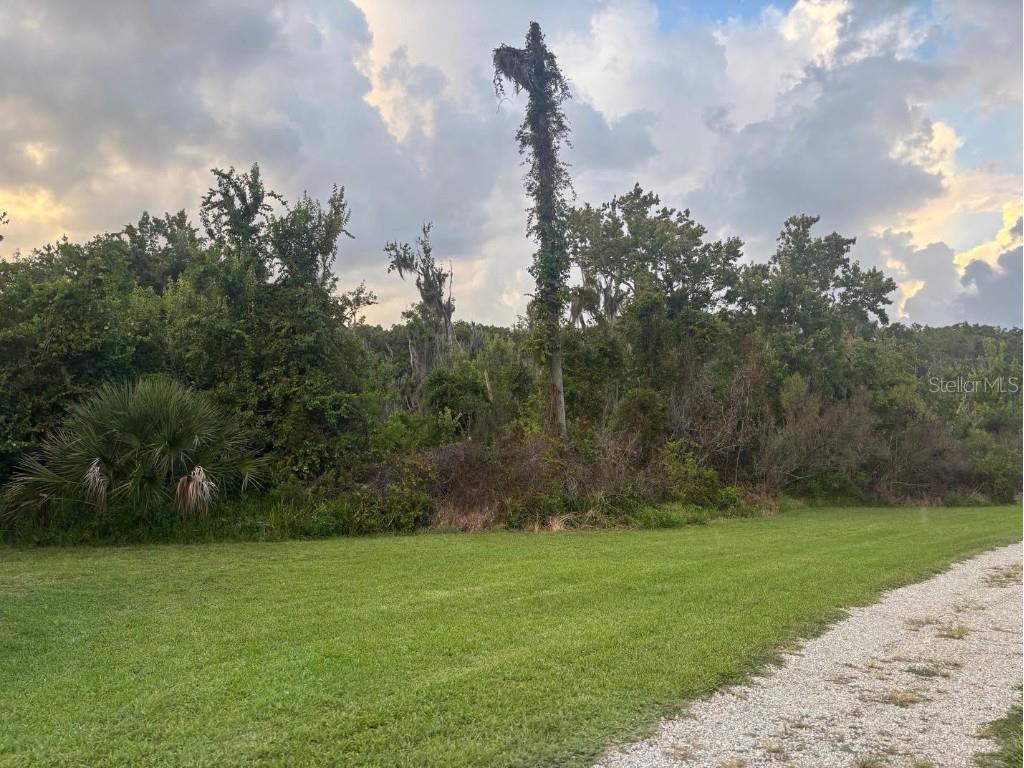 11600 Magnolia Avenue Tavares FL 32778 G5104336 image28