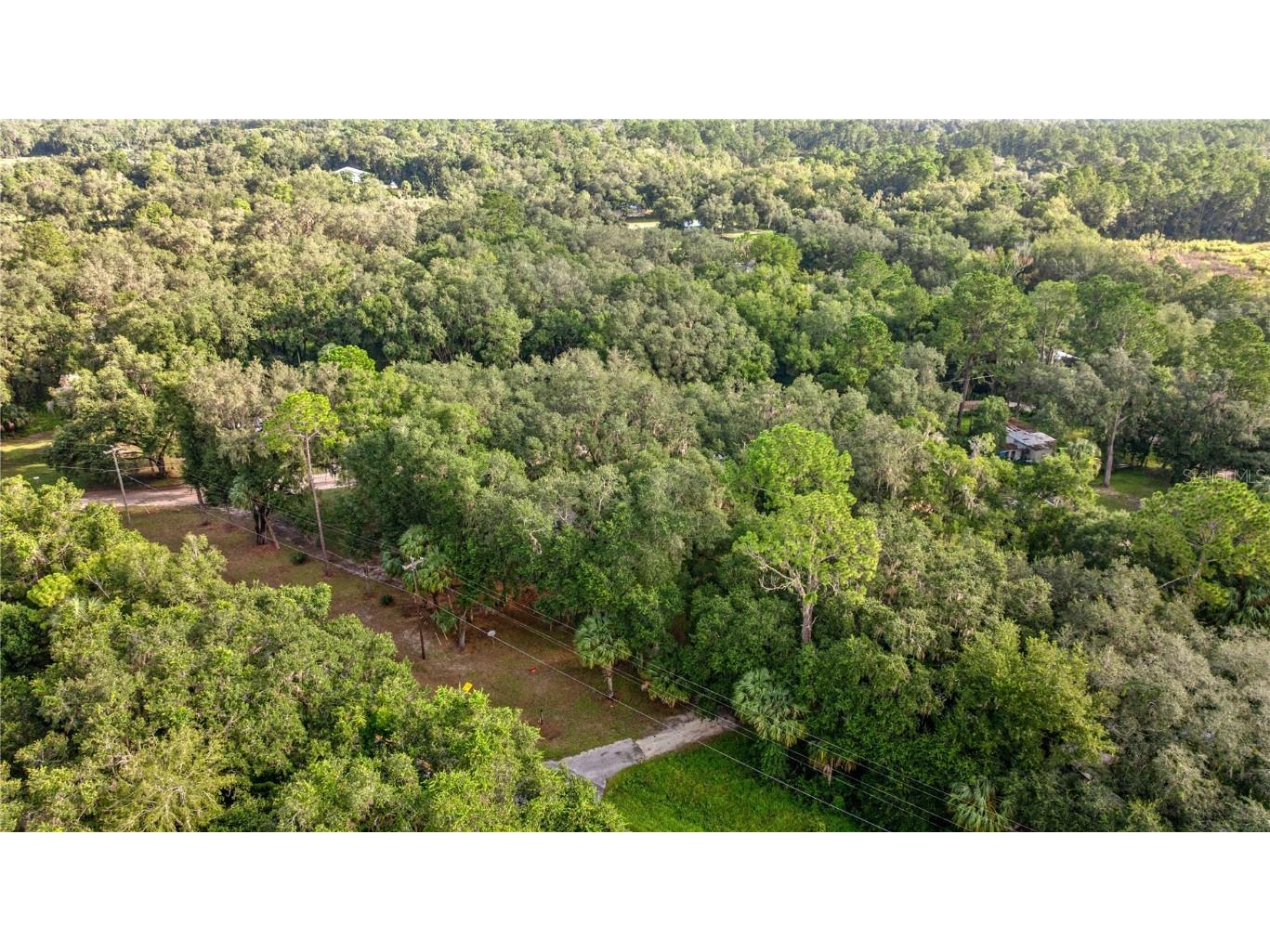 11600 NE 144th Place Fort Mc Coy FL 32134 OM709570 image24