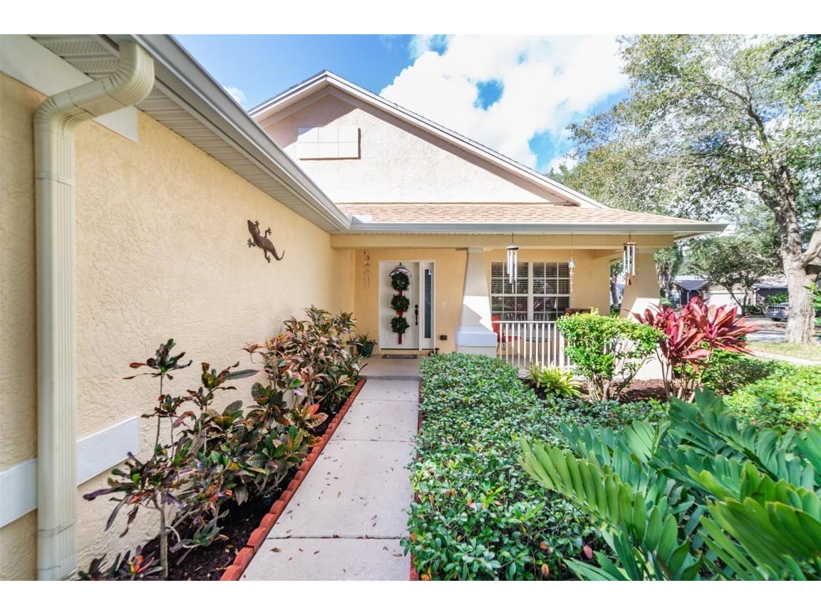 11601 Crest Brook Place Riverview FL 33569 T3345948 image1