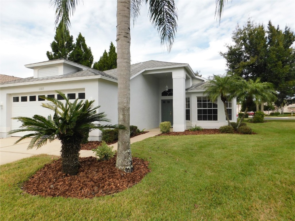 11601 Weaver Park Court Trinity FL 34655 U8190963 image1