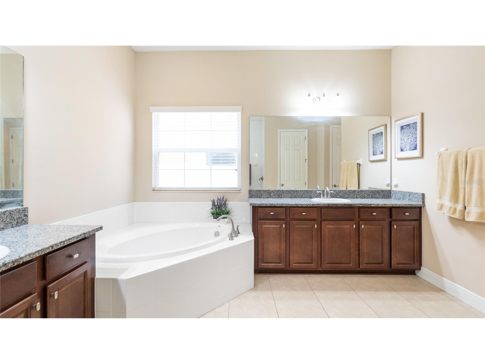 11603 Grange Stead Lane Riverview FL 33569 TB8476129 image39