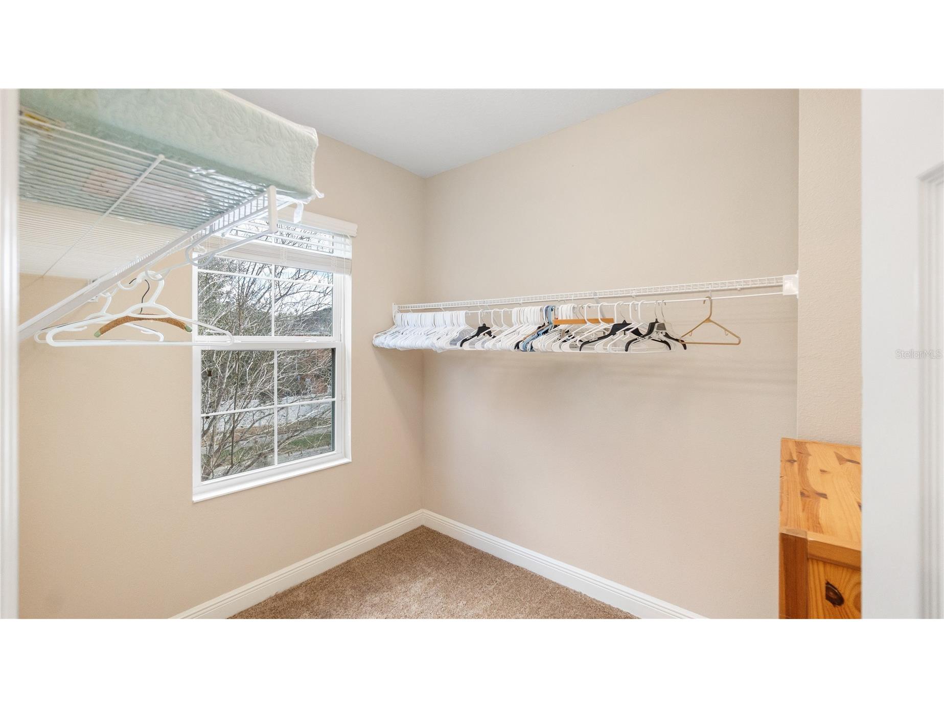 11603 Grange Stead Lane Riverview FL 33569 TB8476129 image43